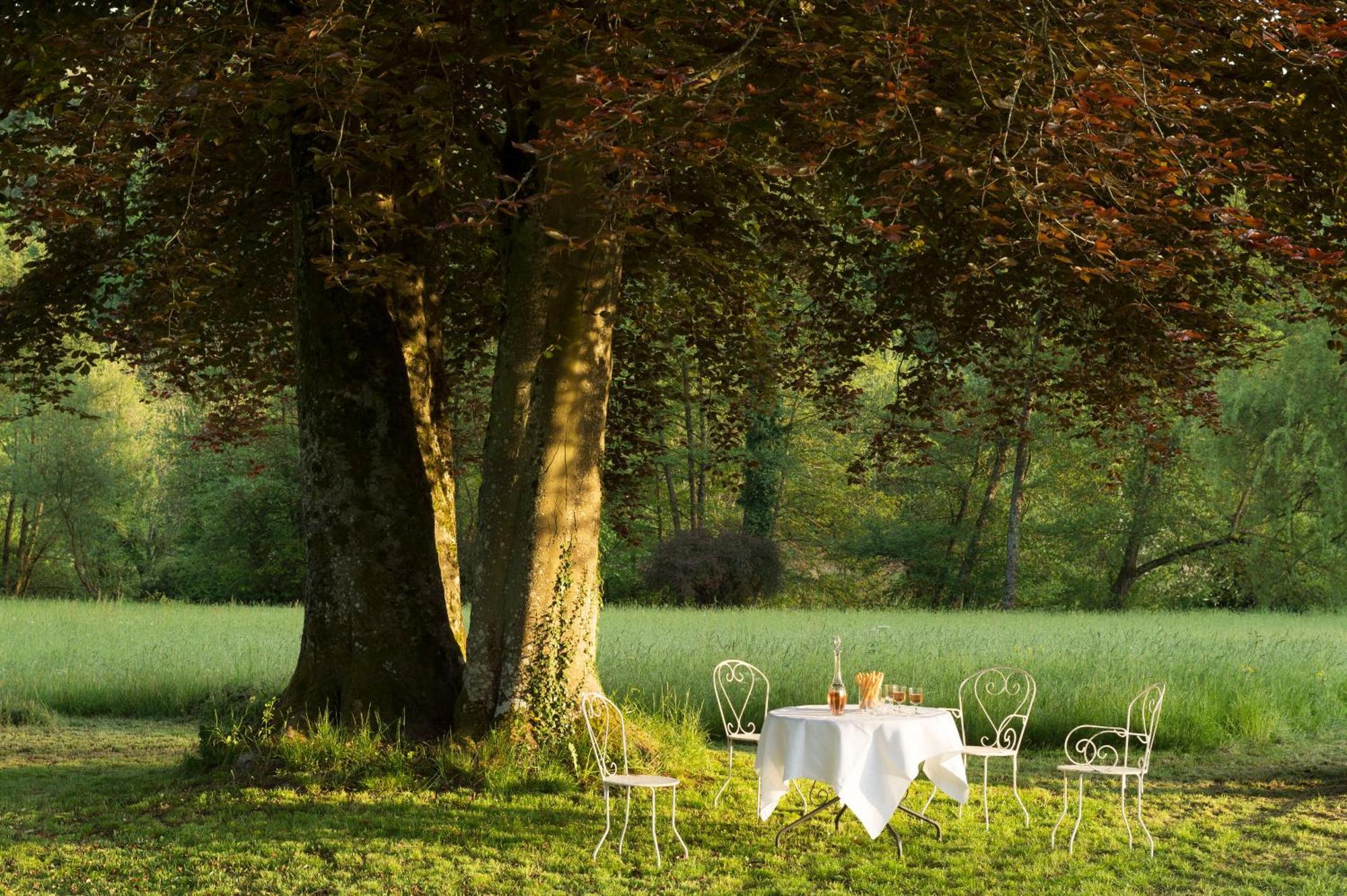 Chateau De Martigny Bed and Breakfast Colmey Buitenkant foto