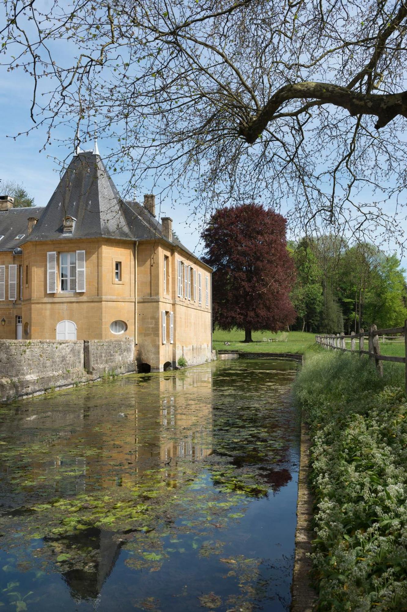 Chateau De Martigny Bed and Breakfast Colmey Buitenkant foto